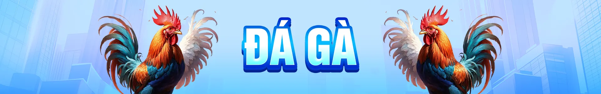 Banner Đá Gà RR88