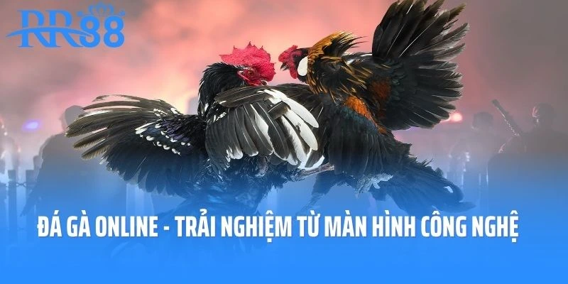 Đá Gà Online - Trải Nghiệm Thú Vui Từ Màn Hình Công Nghệ