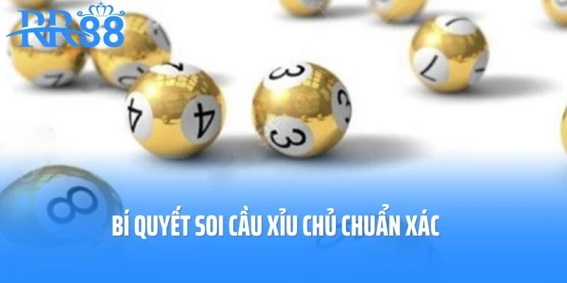 Bí quyết soi cầu xỉu chủ chuẩn xác